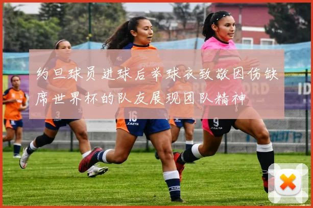 约旦球员进球后举球衣致敬因伤缺席世界杯的队友展现团队精神