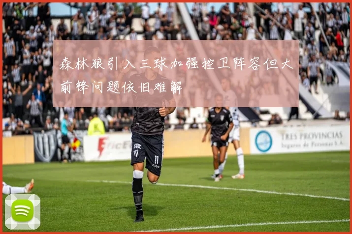 森林狼引入三球加强控卫阵容但大前锋问题依旧难解