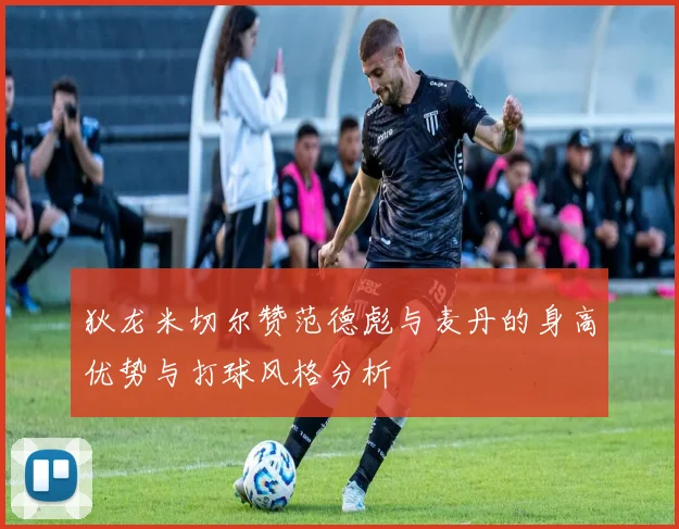 狄龙米切尔赞范德彪与麦丹的身高优势与打球风格分析