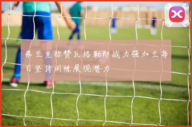 弗兰克称赞瓦格勒即战力强加兰每日坚持训练展现潜力