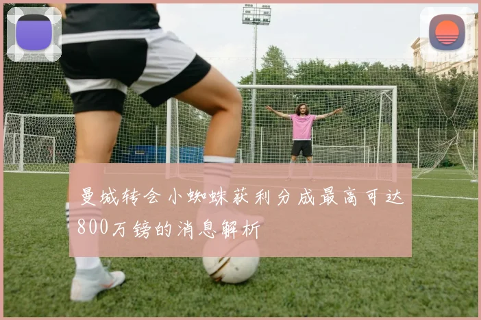 曼城转会小蜘蛛获利分成最高可达800万镑的消息解析